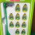 Subbuteo La Leggenda Brazil 1970